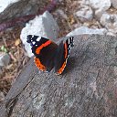 ���� �������, �������, 62 ���� - ��������� 12 ���� 2014 � ������ ���� ����������