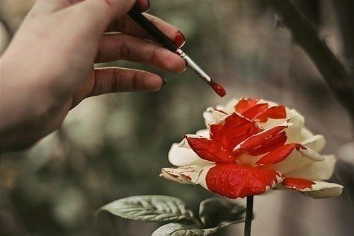 Любить человека за внешность, пожалуй, то же самое, что любить конфету за фантик.