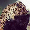 ���� Vasia, �����-��������� - ��������� 6 ��� 2014 � ������ ���� ����������