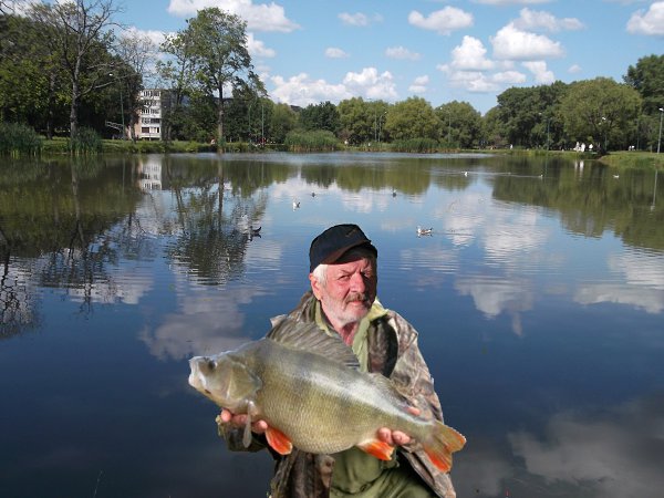 : getrima, 69 ,    