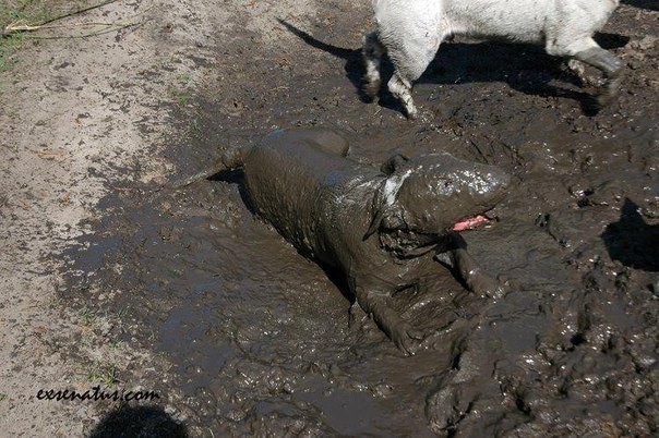 Один раз живем XD