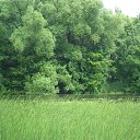 ���� ����, ��������, 52 ���� - ��������� 6 ���� 2014 � ������ �� ������ ���������