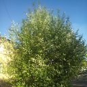 ���� �������, ����, 45 ��� - ��������� 18 ��� 2014 � ������ ���� ����������