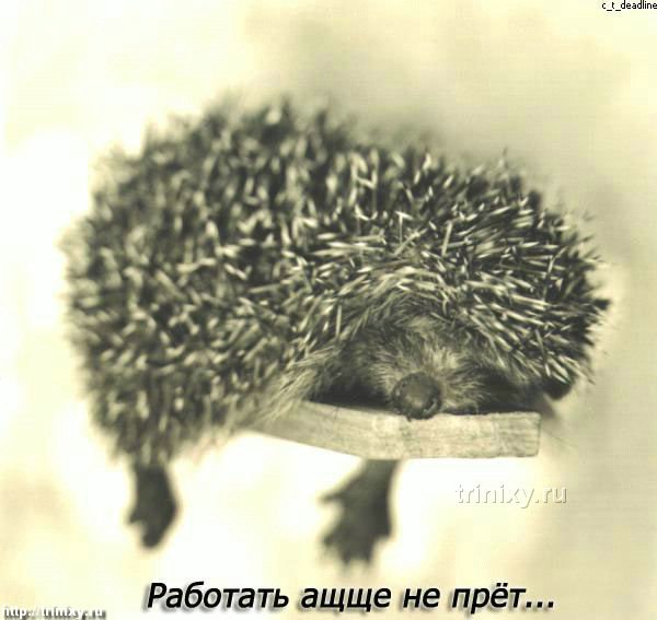 ������ - 26 ��� 2014 � 15:06