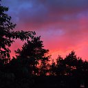 ����� 23.06.2014 �� ������� ������������ �������Ȼ