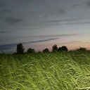 ���� �������, �����-��������, 53 ���� - ��������� 18 ���� 2014 � ������ ����� ������� � ����