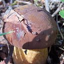 ���� �����, �����, 64 ���� - ��������� 6 ��� 2014 � ������ ������������ ������