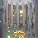  Svetlana, , 59  -  15  2014    2013