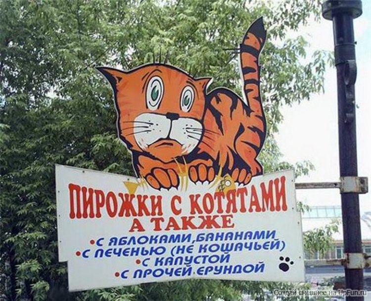 Вот такие пироги с котятами. Пирожки с котятами. Пирожки с котятами реклама. Пирожковая вывеска. Пирожки скатятоми приколы.