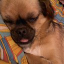 ���� �����, �������������, 65 ��� - ��������� 12 ���� 2014 � ������ ������� � �� �����߻