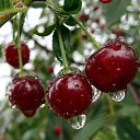 ���� �������, ����, 68 ��� - ��������� 23 ���� 2014 � ������ ������ ��������