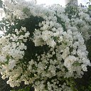 ������ �� ������� �������.. ���� 2014�.�