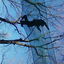 ���� ����, �����, 48 ��� - ��������� 26 ������ 2014 � ������ ����������