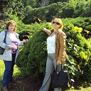 ���� �����, ���, 65 ��� - ��������� 3 ���� 2014 � ������ ���� ����������