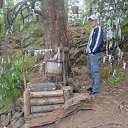 ���� ����, ����, 37 ��� - ��������� 15 ������� 2014 � ������ ���� ����������