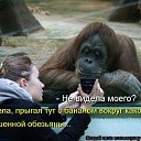 ���� ...[�a]_�voe_so L��e..., ������ - ��������� 1 ������ 2014 � ������ ������ ��������
