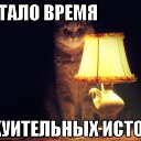 ���� ���������, ����, 33 ���� - ��������� 24 ������ 2014 � ������ ������ ��������