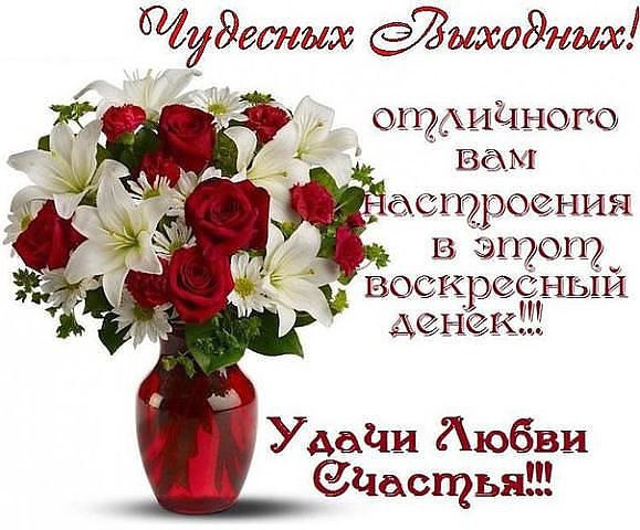  !... -   ,   ,    ,       ...