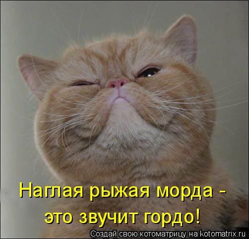  - 9  2014  08:53