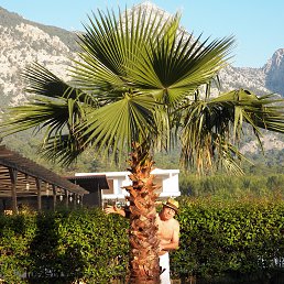  , --, 75  -  1  2014