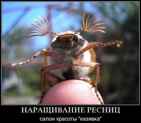 =)