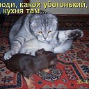 ���� ..��, ����� - ��������� 18 ������ 2014 � ������ ���� ����������