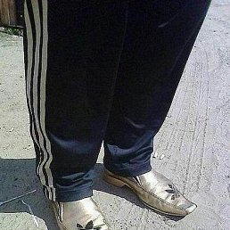 ���� ���������, ������������, 37 ��� - ��������� 5 ��� 2014