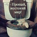���� ������, ���������, 42 ���� - ��������� 11 ������ 2014 � ������ �����������