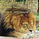 ���� ���������, ������, 58 ��� - ��������� 22 ������� 2014 � ������ ������ ��������