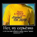 ���� �������_�����, �������, 48 ��� - ��������� 8 ������ 2014 � ������ ������ ��������