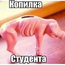 ���� ���� ������, ������, 59 ��� - ��������� 16 ������� 2014 � ������ ������ ��������