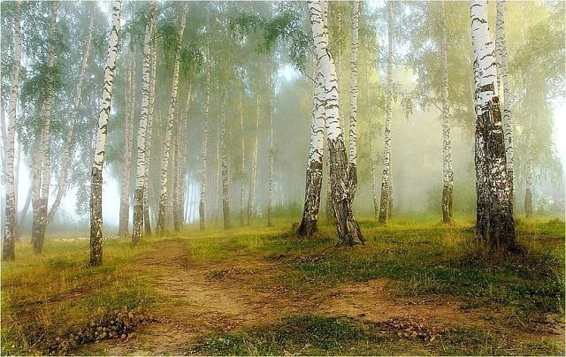  , . Wake Forest, Russia.