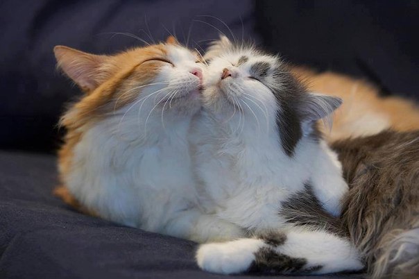  ^_____^