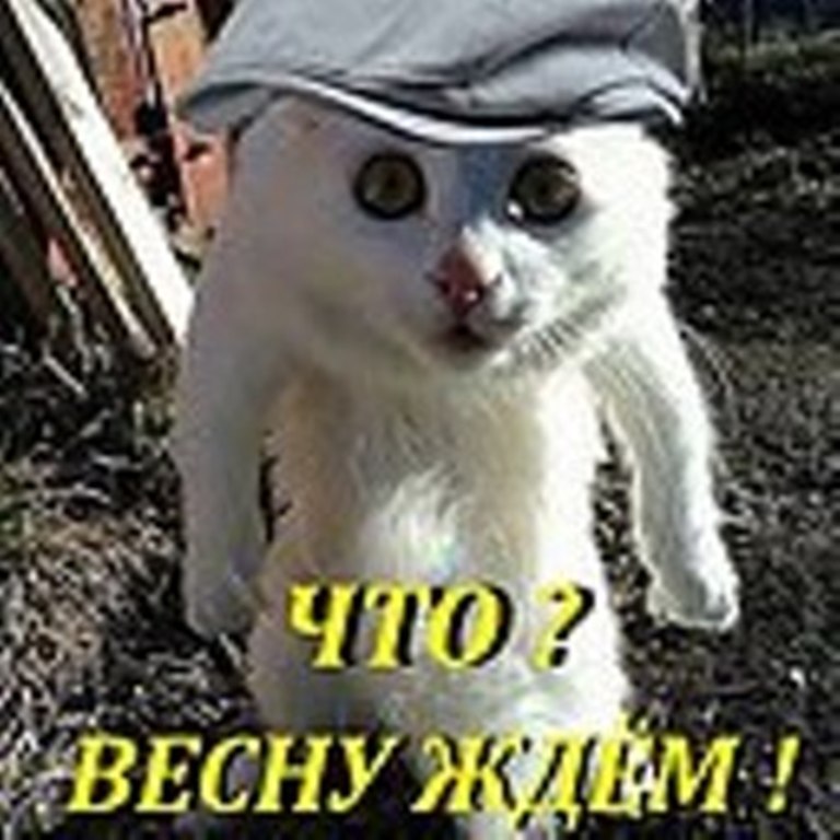  - 5  2014  12:53