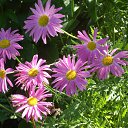 ���� �����, ����, 65 ��� - ��������� 27 ���� 2014 � ������ ���� ����������