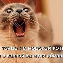 ���� �������, ����, 72 ���� - ��������� 30 ����� 2014 � ������ ������ ��������