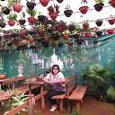 ����� �� ������� ���� ����� 2014�