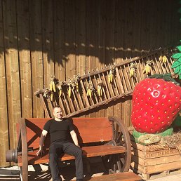 Toze v nemeckom sad .