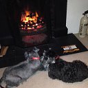 Fire place �� ������� ���� ����������
