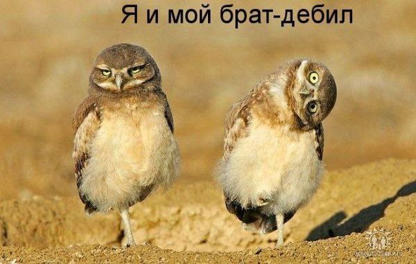 ...   )))