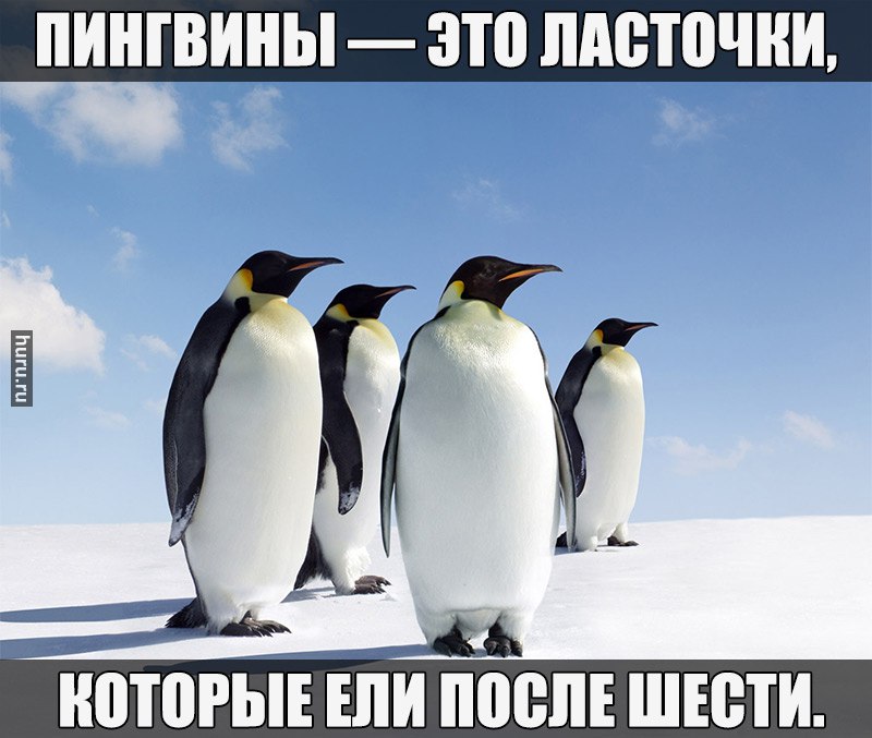  - 26  2014  21:29