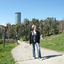 ���� �����, ���� - ��������� 24 ����� 2014 � ������ ���������� ���������