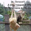 ���� ���-��-���, �����-���������, 59 ��� - ��������� 27 ������ 2014 � ������ ������ ��������