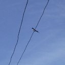 ���� ����, ������, 51 ��� - ��������� 9 ���� 2014 � ������ �������