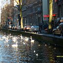     ,  -  31  2014   . 2009