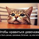 ���� ��������, ����������, 40 ��� - ��������� 12 ���� 2014 � ������ ������ ��������