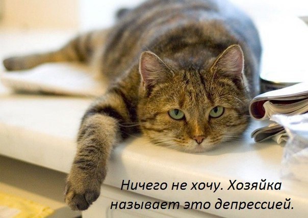  - 13  2014  07:19