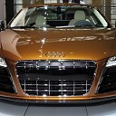 ���� ���������, ����, 40 ��� - ��������� 2 ������ 2014 � ������ ������ ��������