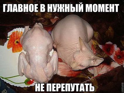 �������������� �� ���� �������� fotostrana.ru/public/232473 ������ ������� )