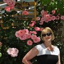 ���� �����, ���������, 53 ���� - ��������� 16 ���� 2014 � ������ ���� ����������